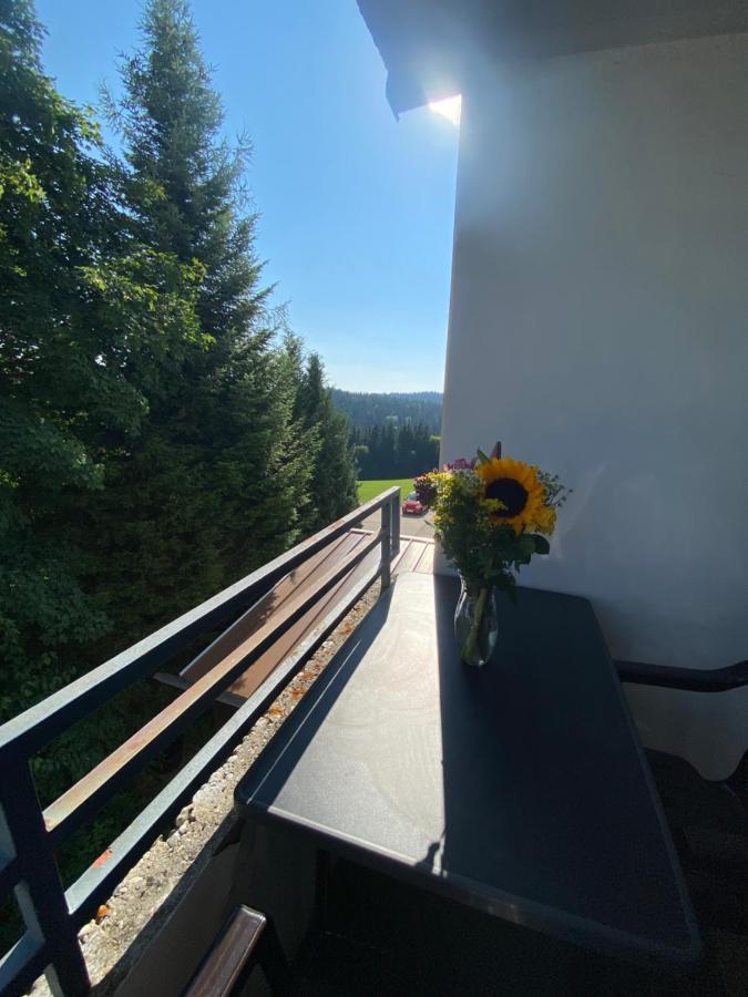 Dreisessel Dreilaendereck Pool Sauna Neureichenau Εξωτερικό φωτογραφία