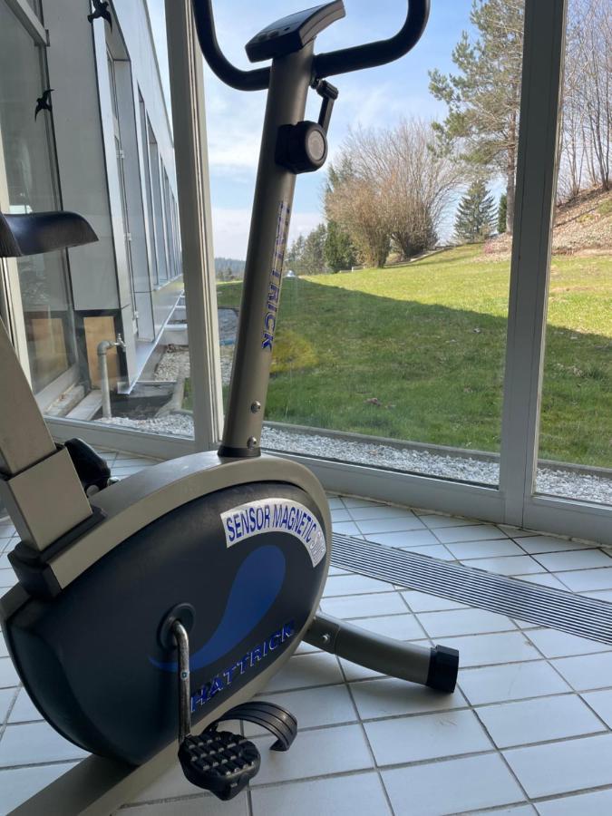 Dreisessel Dreilaendereck Pool Sauna Neureichenau Εξωτερικό φωτογραφία